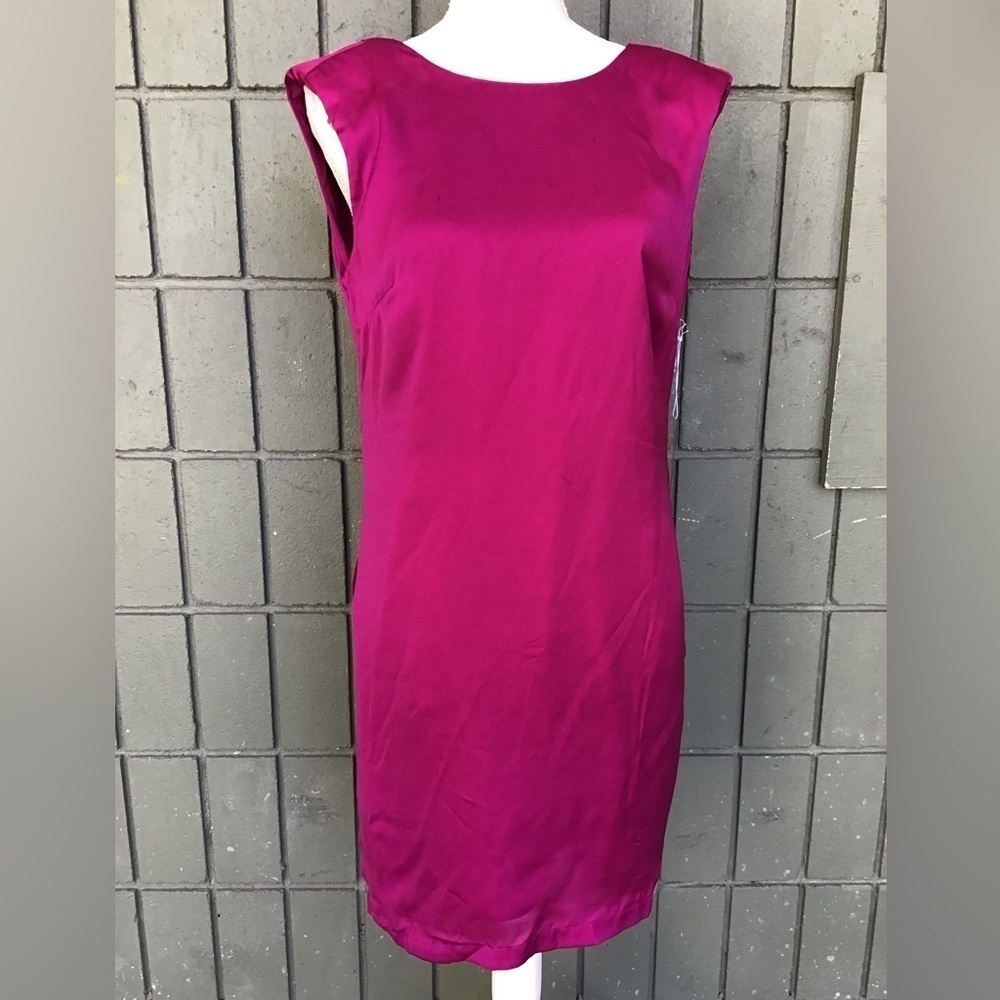 NWT- Beautiful Short Pink Dress, Size Small.